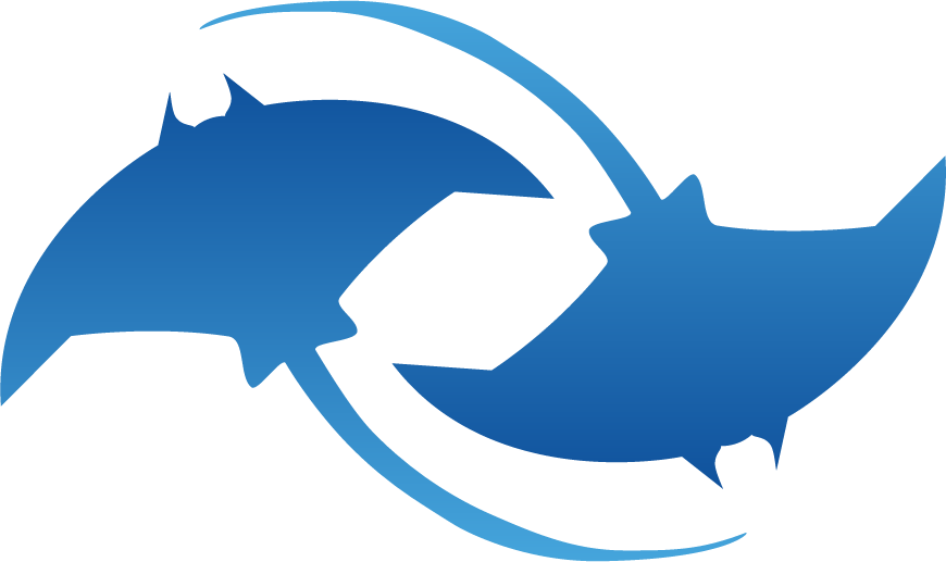 Logo Velmanta